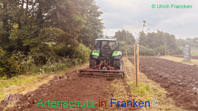 © Artenschutz in Franken® / U.Francken Bild zum Eintrag (1107070-160)