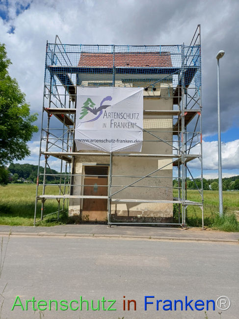 © Artenschutz in Franken® Bild zum Eintrag (1107567-160)