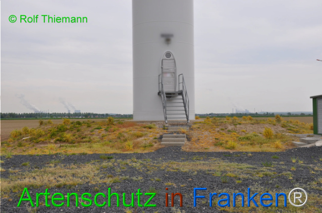 © Artenschutz in Franken® / Rolf Thiemann Bild zum Eintrag (1108574-160)