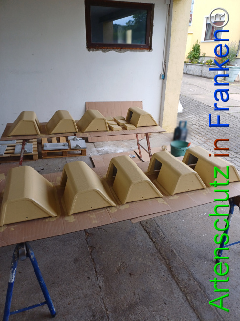 © Artenschutz in Franken® Bild zum Eintrag (1108892-160)