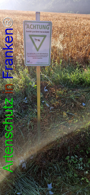© Artenschutz in Franken® Bild zum Eintrag (1108942-160)
