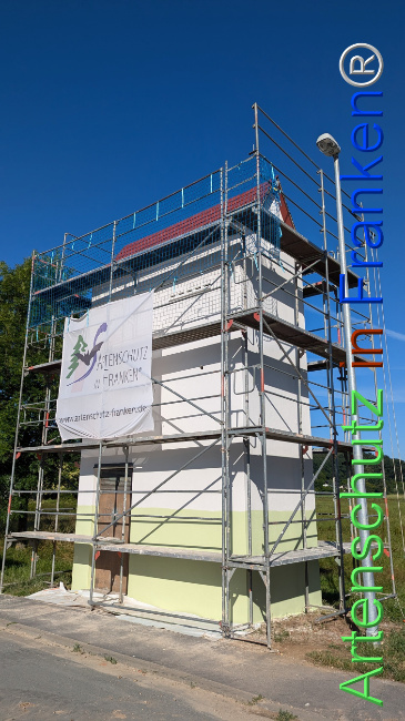 © Artenschutz in Franken® Bild zum Eintrag (1109218-160)