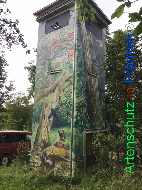 © Artenschutz in Franken® Bild zum Eintrag (1109401-160)