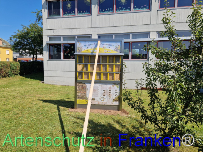 © Artenschutz in Franken® Bild zum Eintrag (1109554-160)