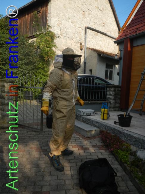 © Artenschutz in Franken® Bild zum Eintrag (1109944-160)
