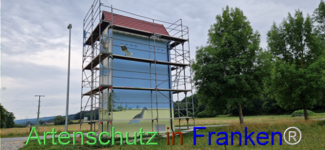 © Artenschutz in Franken® Bild zum Eintrag (1110059-160)