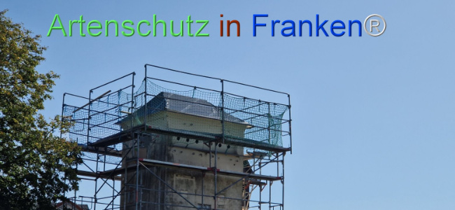 © Artenschutz in Franken® Bild zum Eintrag (1110546-160)