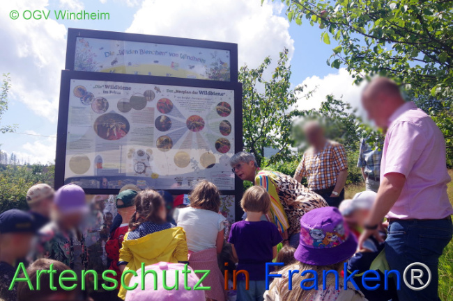 © Artenschutz in Franken® / © OGV Windheim Bild zum Eintrag (1110701-160)
