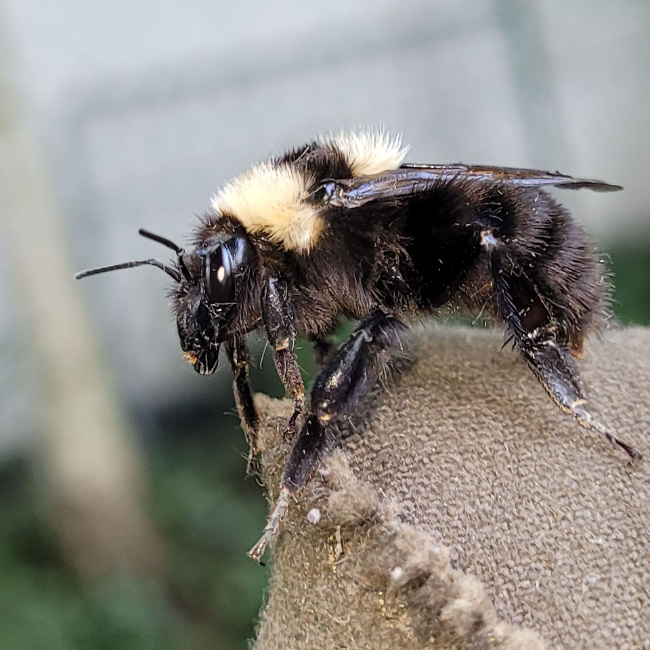 ©Thomas Guggemoos Bild zum Eintrag (1110822-160)