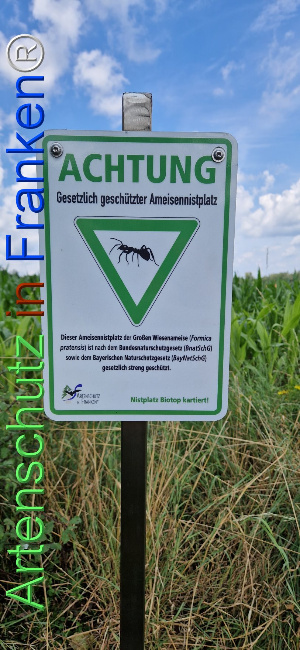 © Artenschutz in Franken® Bild zum Eintrag (1110928-160)