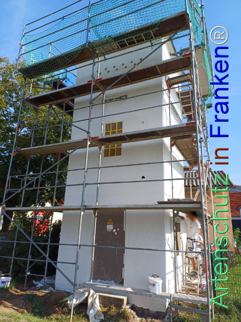 © Artenschutz in Franken® Bild zum Eintrag (1111055-160)