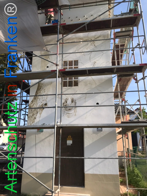© Artenschutz in Franken® Bild zum Eintrag (1111966-160)