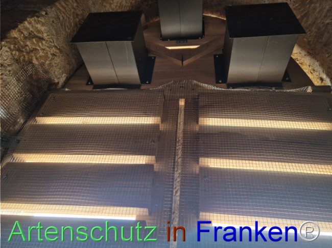 © Artenschutz in Franken® Bild zum Eintrag (1112313-160)
