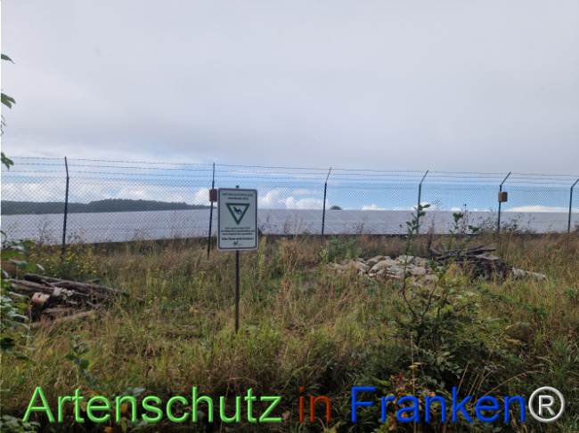 © Artenschutz in Franken® Bild zum Eintrag (1112416-160)