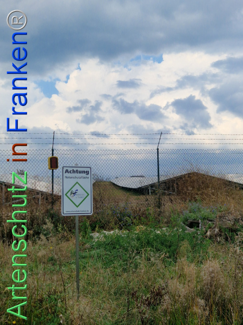 © Artenschutz in Franken® Bild zum Eintrag (1112808-160)