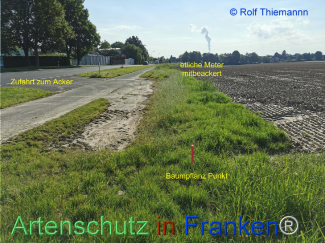 © Artenschutz in Franken® / Rolf Thiemann Bild zum Eintrag (1113794-160)