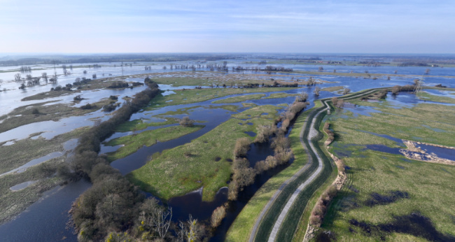 © Biosphärenreservat Flusslandschaft Elbe - Brandenburg Bild zum Eintrag (1114449-160)