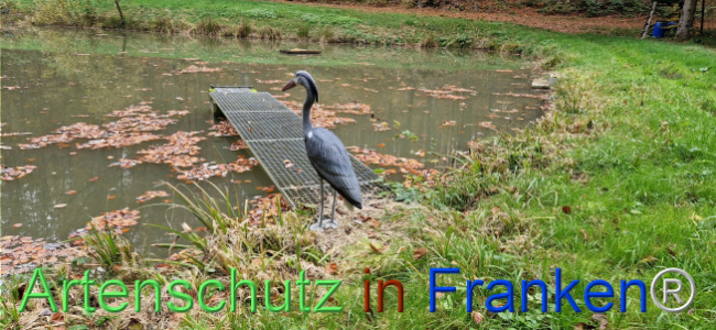 © Artenschutz in Franken® Bild zum Eintrag (1115034-160)