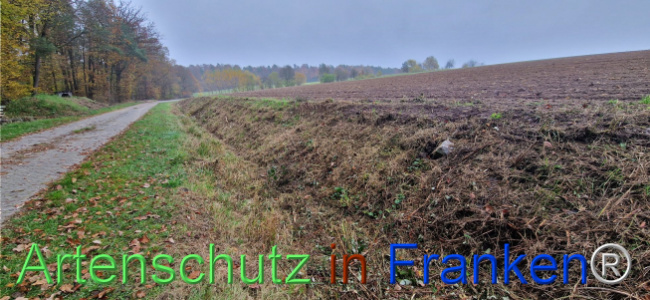 © Artenschutz in Franken® Bild zum Eintrag (1115040-160)