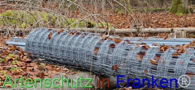 © Artenschutz in Franken® Bild zum Eintrag (1115132-160)