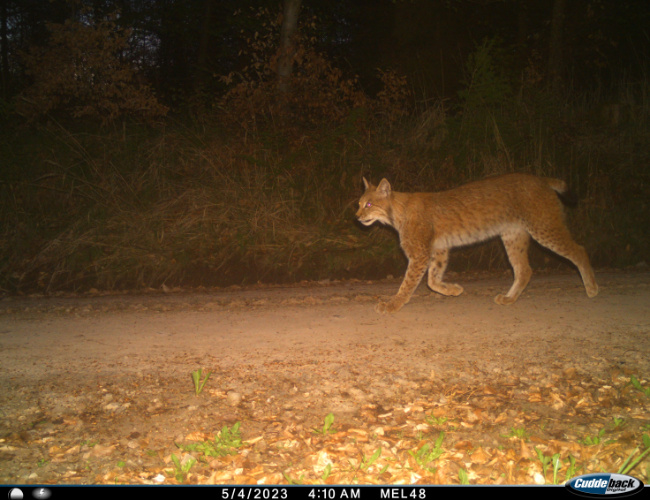 ©HLNUG-Monitoring Bild zum Eintrag (1115193-160)