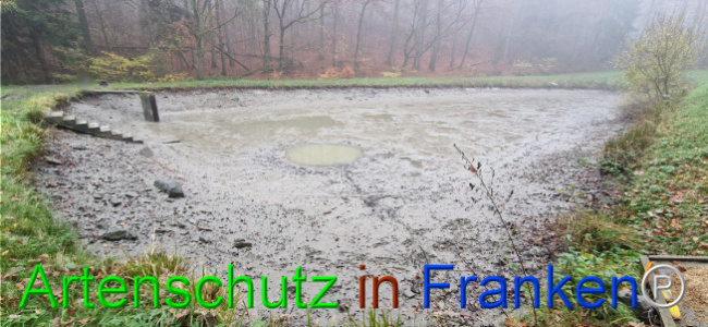 © Artenschutz in Franken® Bild zum Eintrag (1115305-160)