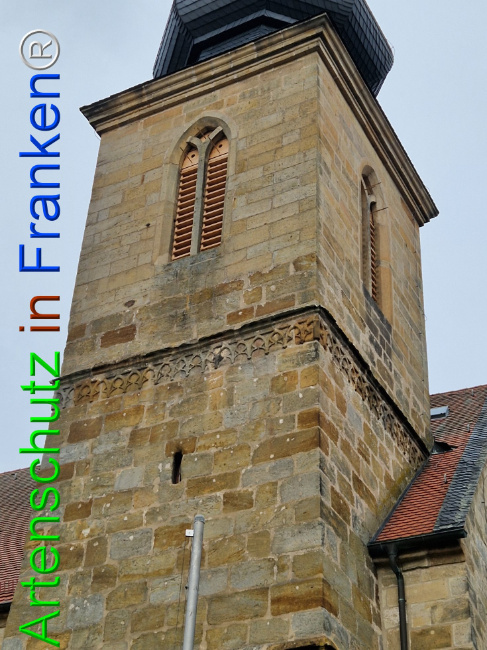 © Artenschutz in Franken® Bild zum Eintrag (1115476-160)