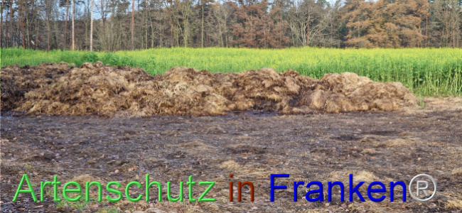 © Artenschutz in Franken® Bild zum Eintrag (1116142-160)