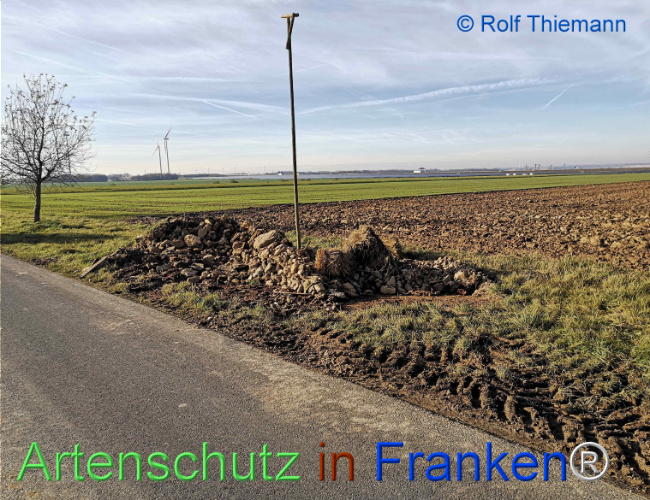 © Artenschutz in Franken® / Rolf Thiemann Bild zum Eintrag (1116290-160)