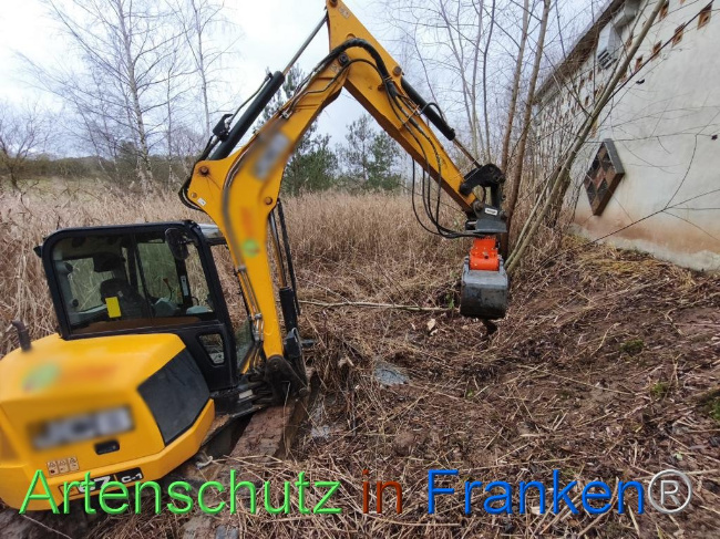 © Artenschutz in Franken® Bild zum Eintrag (1116650-160)