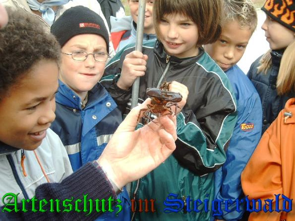 © Artenschutz in Franken® - Dieter Feineis Bild zum Eintrag (1117770-160)