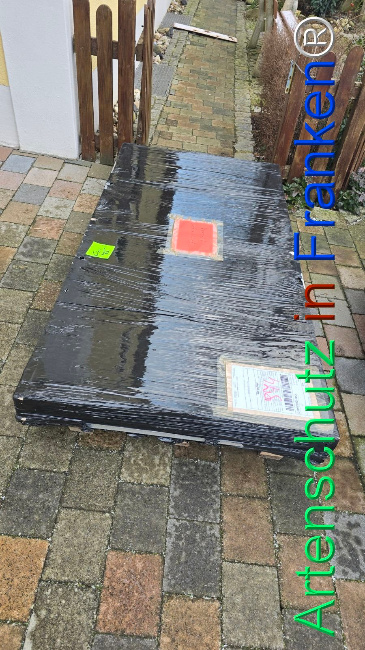 © Artenschutz in Franken® Bild zum Eintrag (1118087-160)