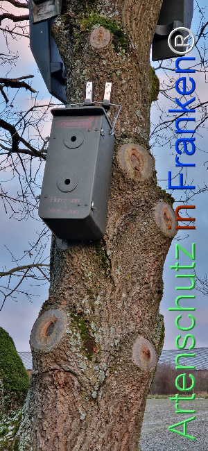 © Artenschutz in Franken® Bild zum Eintrag (1118129-160)