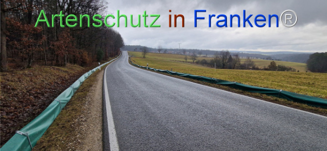 © Artenschutz in Franken® Bild zum Eintrag (1119288-160)