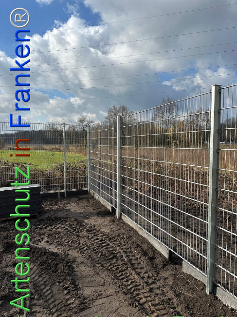 © Artenschutz in Franken® Bild zum Eintrag (1119312-160)