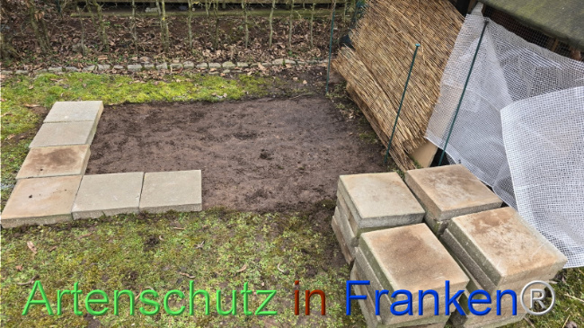 © Artenschutz in Franken® Bild zum Eintrag (1119324-160)