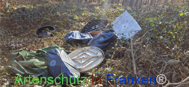 © Artenschutz in Franken® Bild zum Eintrag (1119529-160)