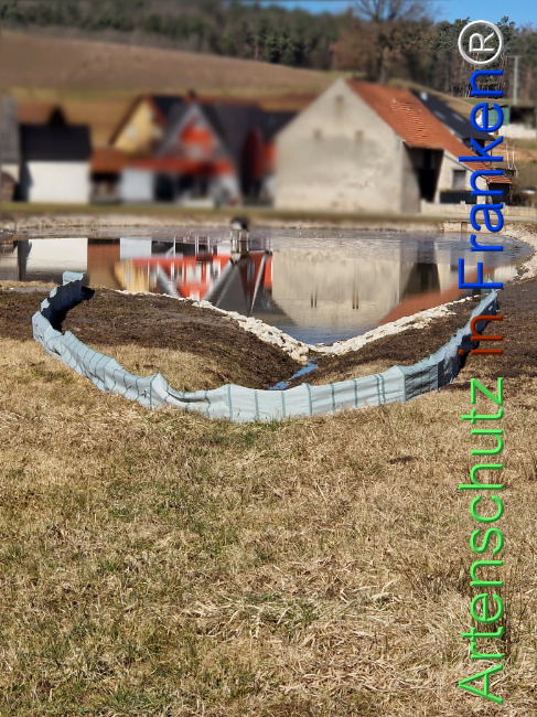 © Artenschutz in Franken® Bild zum Eintrag (1119605-160)