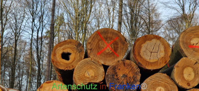 © Artenschutz in Franken® Bild zum Eintrag (1119945-160)