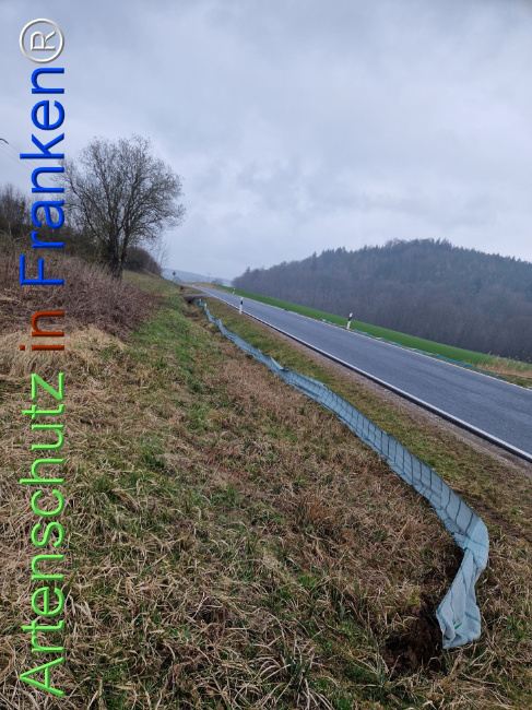 © Artenschutz in Franken® Bild zum Eintrag (1120507-160)