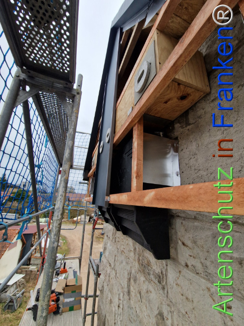 © Artenschutz in Franken® Bild zum Eintrag (1120645-160)