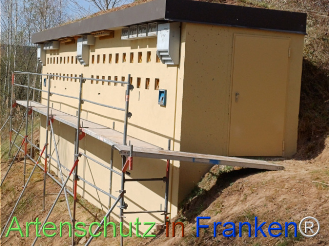 © Artenschutz in Franken® Bild zum Eintrag (1120705-160)