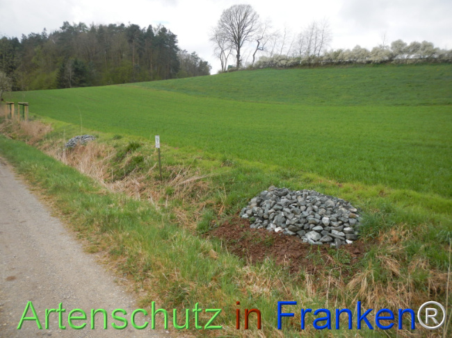 Bild zum Eintrag (1120812-160)