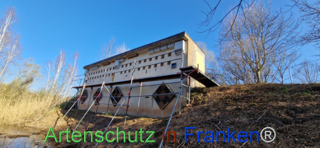 © Artenschutz in Franken® Bild zum Eintrag (1120863-160)