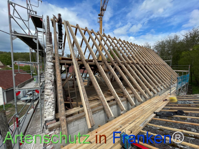 © Artenschutz in Franken® Bild zum Eintrag (1120993-160)
