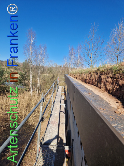 © Artenschutz in Franken® Bild zum Eintrag (1121040-160)