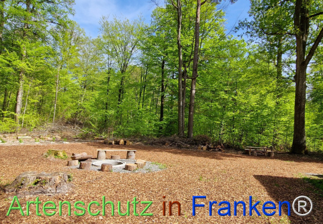 © Artenschutz in Franken® Bild zum Eintrag (1121167-160)