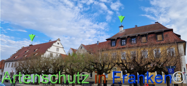 Bild zum Eintrag (1121490-160)