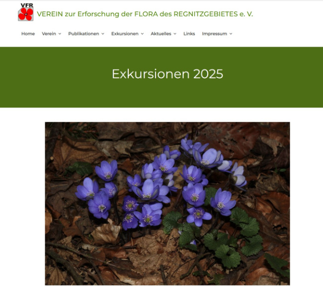 © VEREIN zur Erforschung der FLORA des REGNITZGEBIETES e.V. Bild zum Eintrag (1122177-160)