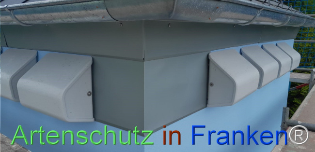 © Artenschutz in Franken® Bild zum Eintrag (1122642-160)